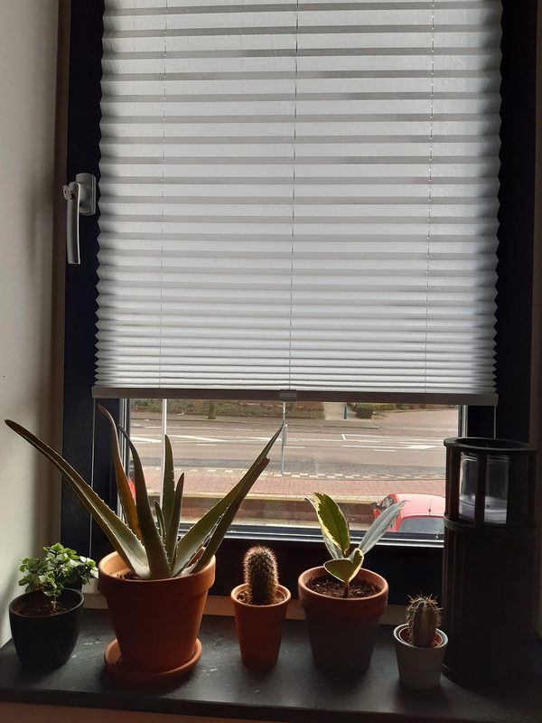 Choisir le store enrouleur idéal pour votre intérieur